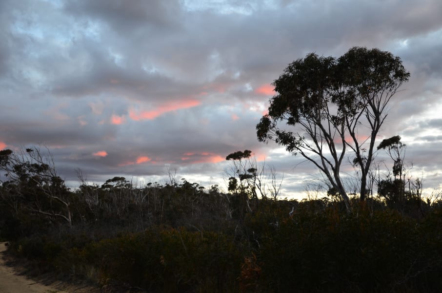 Вся Австралия с островами Фрейзер и Тасмания: 26 тыс км на авто (много фото)