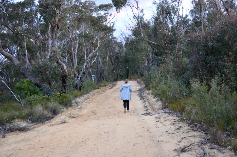 Вся Австралия с островами Фрейзер и Тасмания: 26 тыс км на авто (много фото)