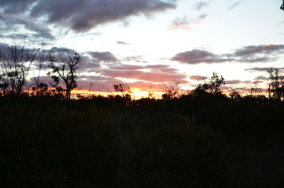 Вся Австралия с островами Фрейзер и Тасмания: 26 тыс км на авто (много фото)