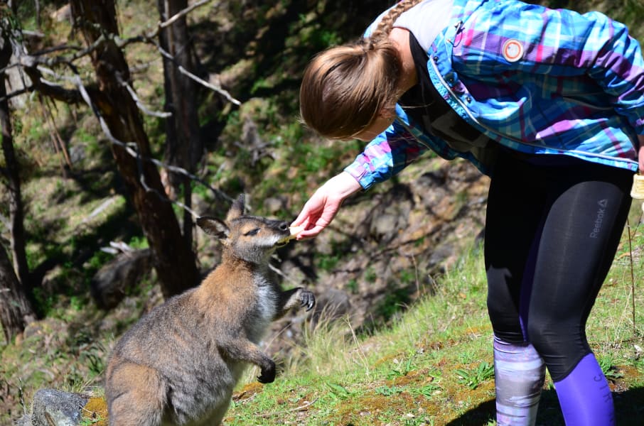 Вся Австралия с островами Фрейзер и Тасмания: 26 тыс км на авто (много фото)