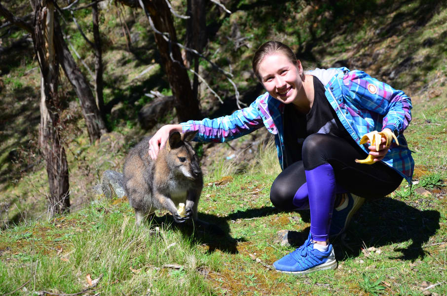 Вся Австралия с островами Фрейзер и Тасмания: 26 тыс км на авто (много фото)