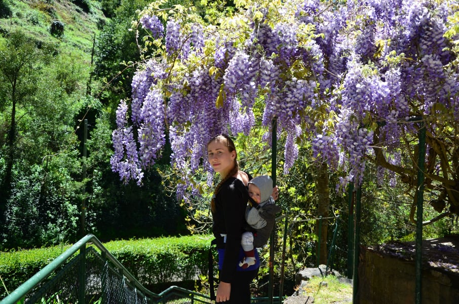 Вся Австралия с островами Фрейзер и Тасмания: 26 тыс км на авто (много фото)