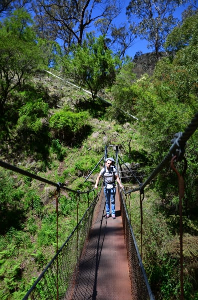 Вся Австралия с островами Фрейзер и Тасмания: 26 тыс км на авто (много фото)