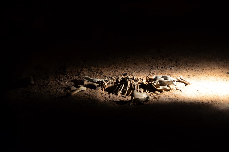 Вся Австралия с островами Фрейзер и Тасмания: 26 тыс км на авто (много фото)