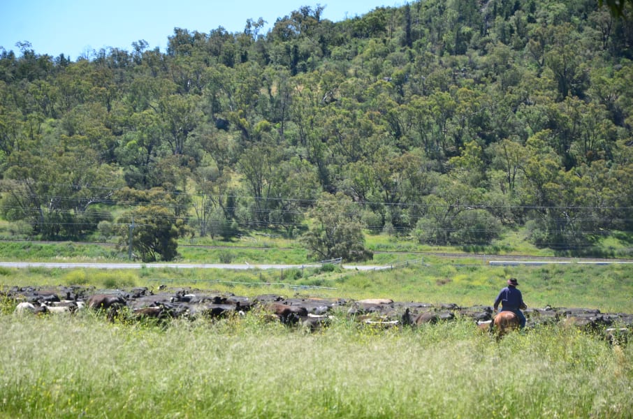 Вся Австралия с островами Фрейзер и Тасмания: 26 тыс км на авто (много фото)
