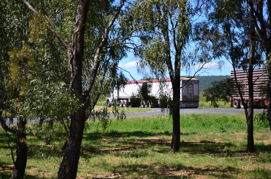 Вся Австралия с островами Фрейзер и Тасмания: 26 тыс км на авто (много фото)