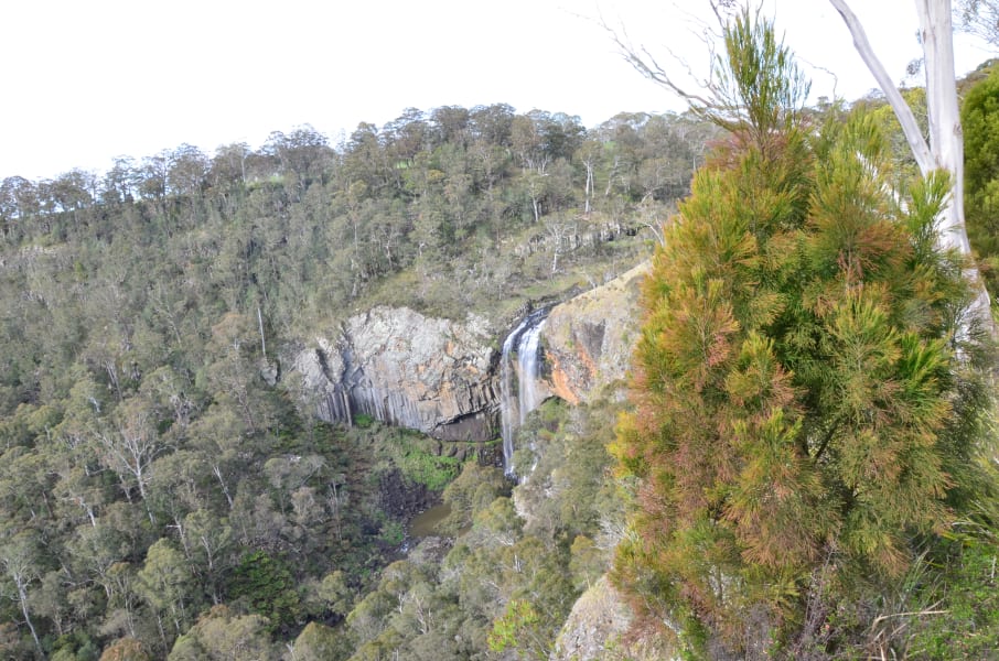 Вся Австралия с островами Фрейзер и Тасмания: 26 тыс км на авто (много фото)