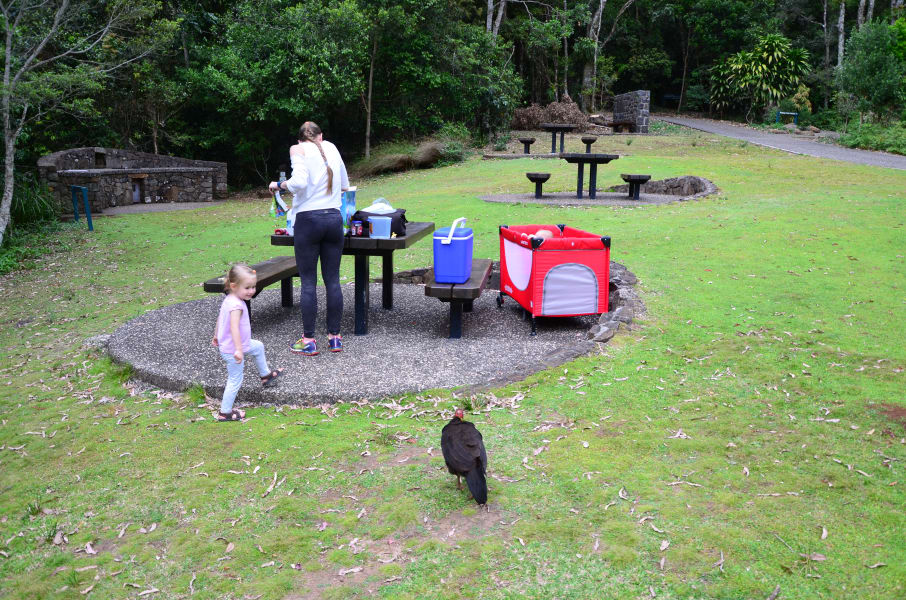 Вся Австралия с островами Фрейзер и Тасмания: 26 тыс км на авто (много фото)