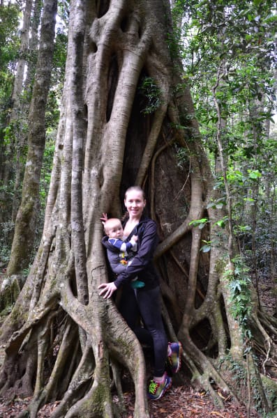 Вся Австралия с островами Фрейзер и Тасмания: 26 тыс км на авто (много фото)