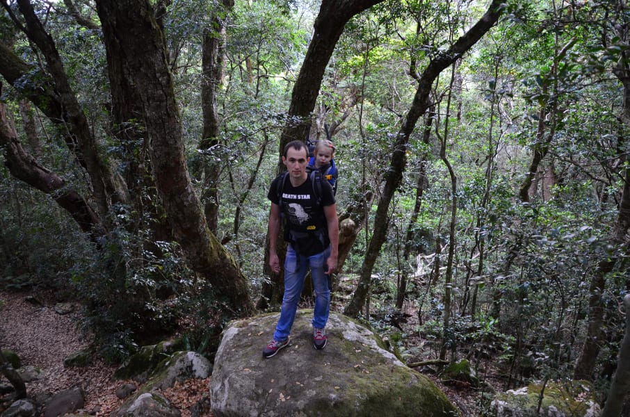 Вся Австралия с островами Фрейзер и Тасмания: 26 тыс км на авто (много фото)