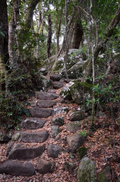 Вся Австралия с островами Фрейзер и Тасмания: 26 тыс км на авто (много фото)