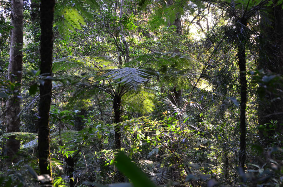 Вся Австралия с островами Фрейзер и Тасмания: 26 тыс км на авто (много фото)