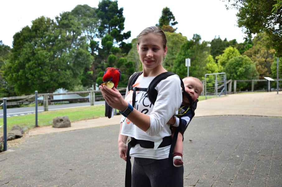 Вся Австралия с островами Фрейзер и Тасмания: 26 тыс км на авто (много фото)