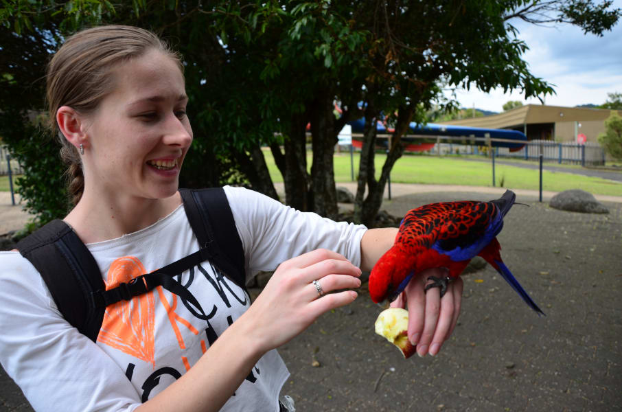 Вся Австралия с островами Фрейзер и Тасмания: 26 тыс км на авто (много фото)