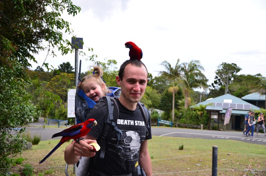 Вся Австралия с островами Фрейзер и Тасмания: 26 тыс км на авто (много фото)