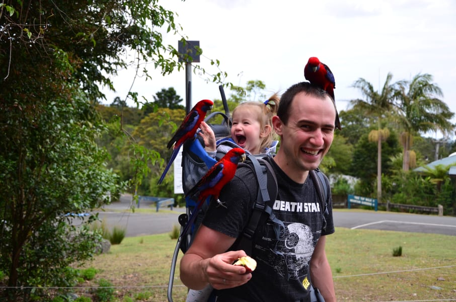 Вся Австралия с островами Фрейзер и Тасмания: 26 тыс км на авто (много фото)