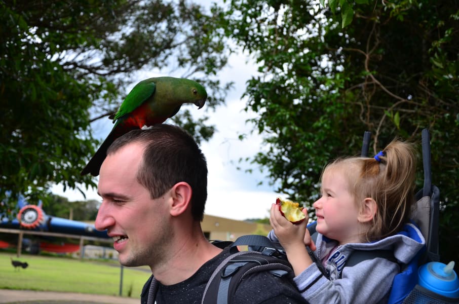Вся Австралия с островами Фрейзер и Тасмания: 26 тыс км на авто (много фото)