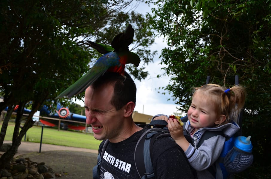 Вся Австралия с островами Фрейзер и Тасмания: 26 тыс км на авто (много фото)