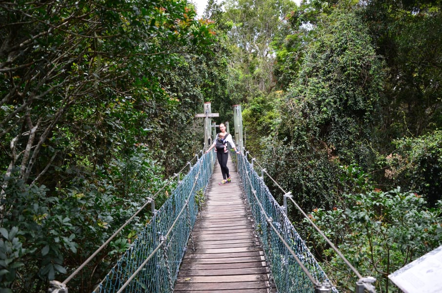 Вся Австралия с островами Фрейзер и Тасмания: 26 тыс км на авто (много фото)