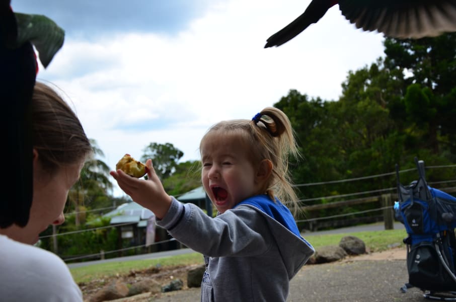 Вся Австралия с островами Фрейзер и Тасмания: 26 тыс км на авто (много фото)