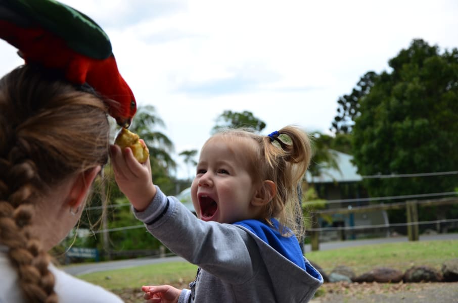 Вся Австралия с островами Фрейзер и Тасмания: 26 тыс км на авто (много фото)