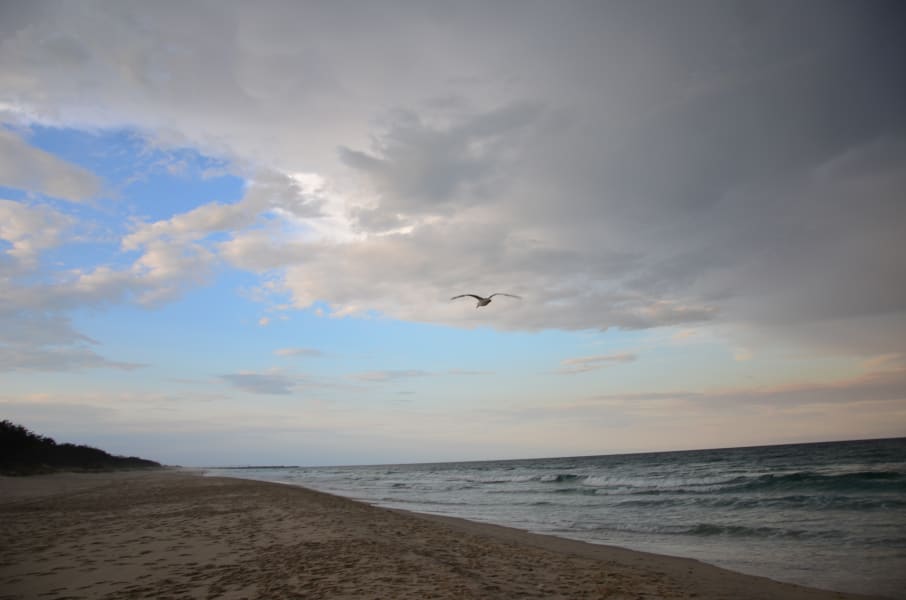 Вся Австралия с островами Фрейзер и Тасмания: 26 тыс км на авто (много фото)