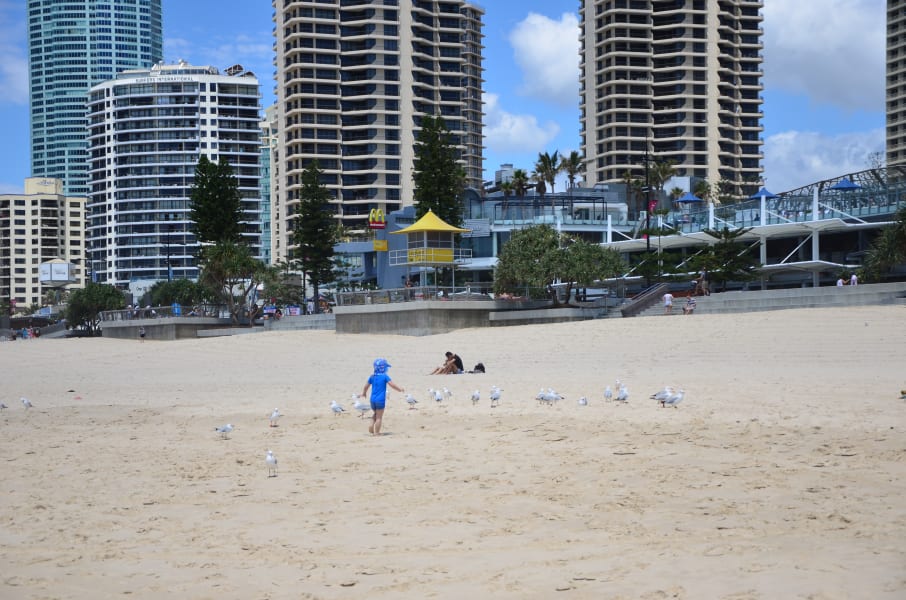 Вся Австралия с островами Фрейзер и Тасмания: 26 тыс км на авто (много фото)