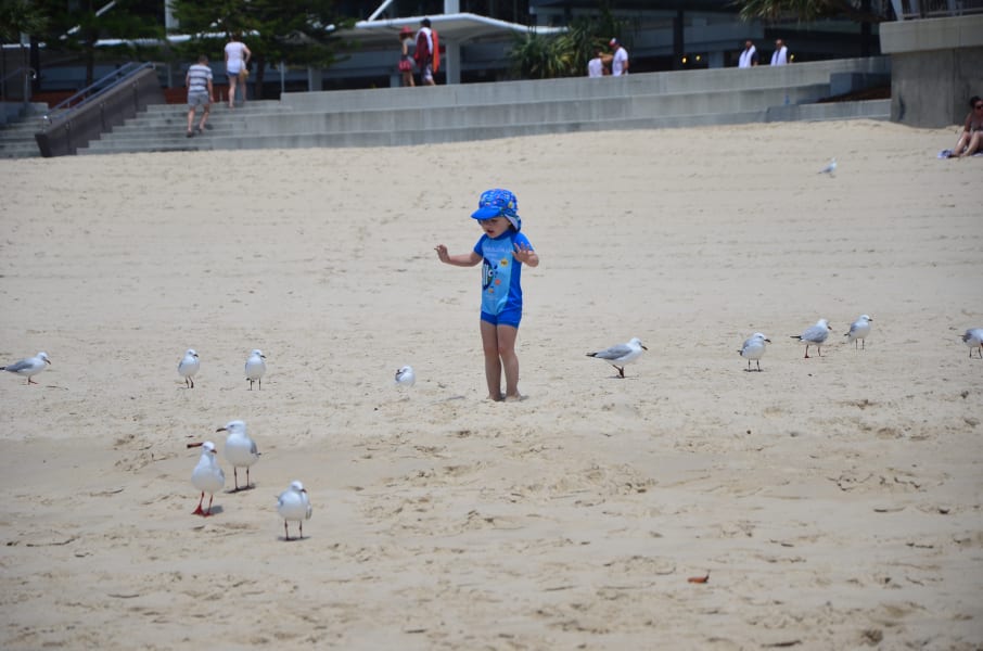 Вся Австралия с островами Фрейзер и Тасмания: 26 тыс км на авто (много фото)