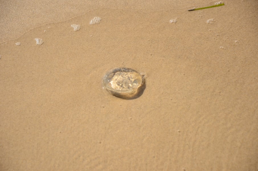 Вся Австралия с островами Фрейзер и Тасмания: 26 тыс км на авто (много фото)