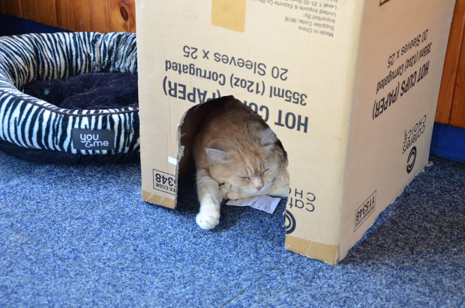 Вся Австралия с островами Фрейзер и Тасмания: 26 тыс км на авто (много фото)