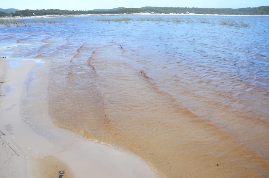 Вся Австралия с островами Фрейзер и Тасмания: 26 тыс км на авто (много фото)