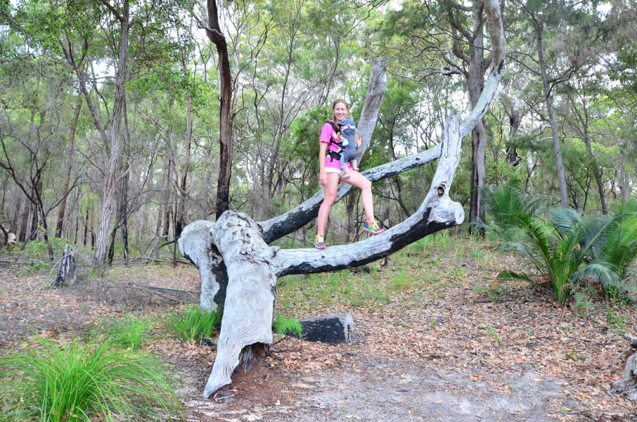 Вся Австралия с островами Фрейзер и Тасмания: 26 тыс км на авто (много фото)