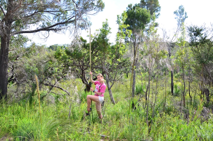 Вся Австралия с островами Фрейзер и Тасмания: 26 тыс км на авто (много фото)
