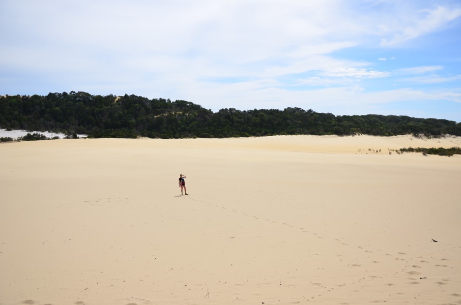 Вся Австралия с островами Фрейзер и Тасмания: 26 тыс км на авто (много фото)