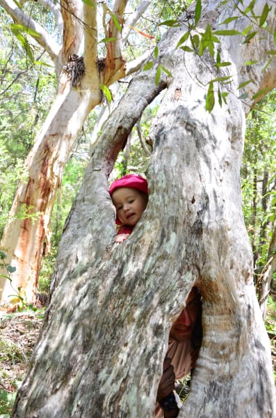 Вся Австралия с островами Фрейзер и Тасмания: 26 тыс км на авто (много фото)