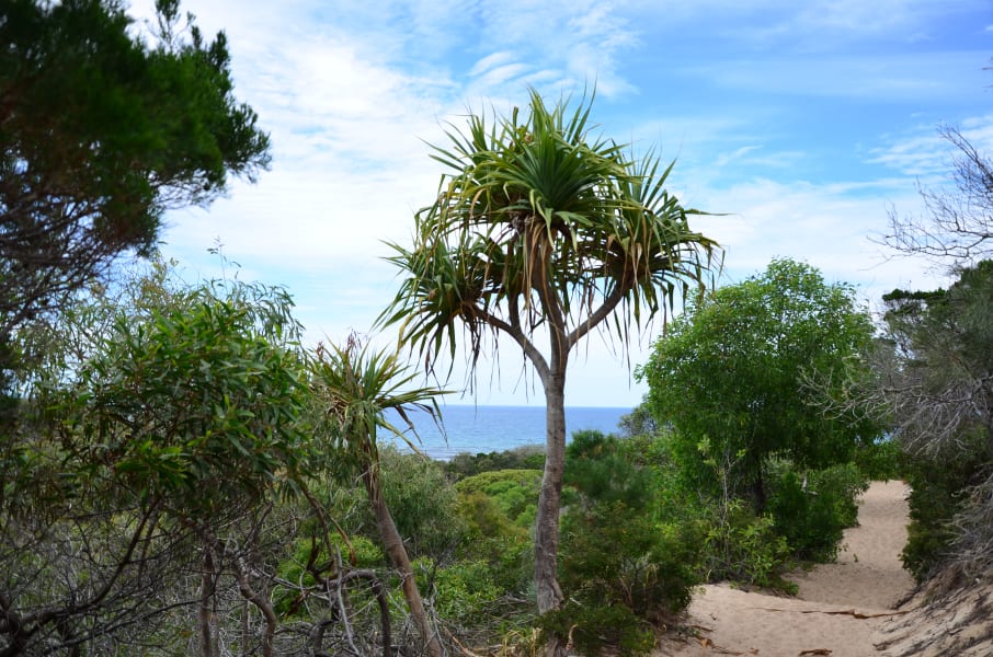 Вся Австралия с островами Фрейзер и Тасмания: 26 тыс км на авто (много фото)