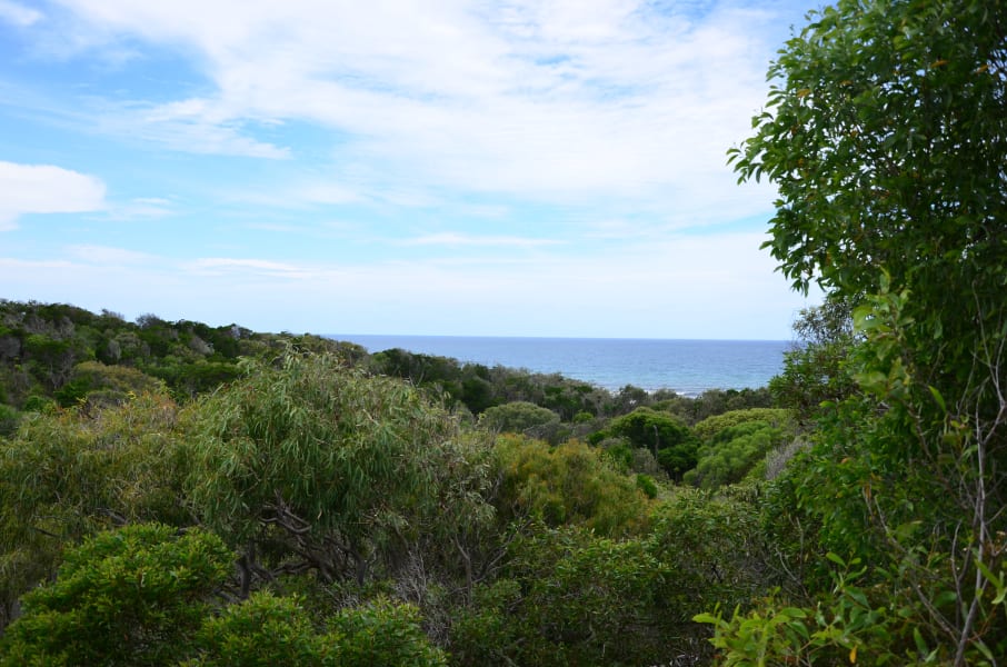 Вся Австралия с островами Фрейзер и Тасмания: 26 тыс км на авто (много фото)