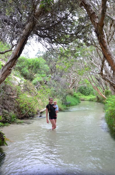 Вся Австралия с островами Фрейзер и Тасмания: 26 тыс км на авто (много фото)