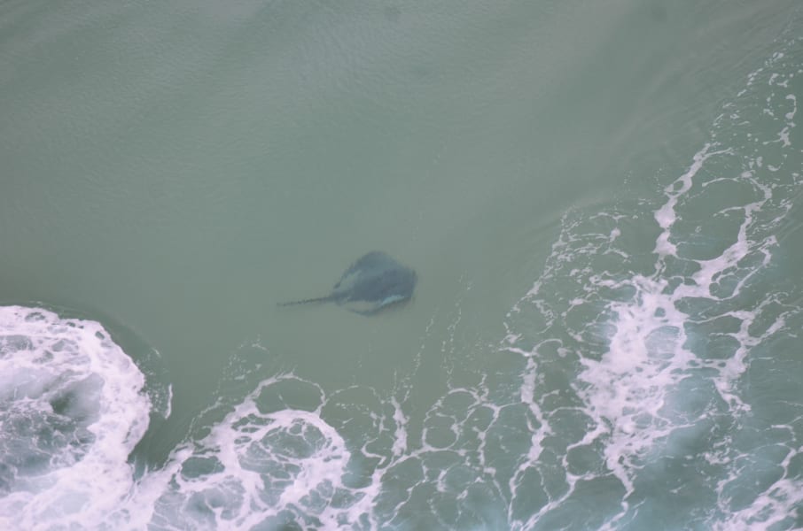 Вся Австралия с островами Фрейзер и Тасмания: 26 тыс км на авто (много фото)