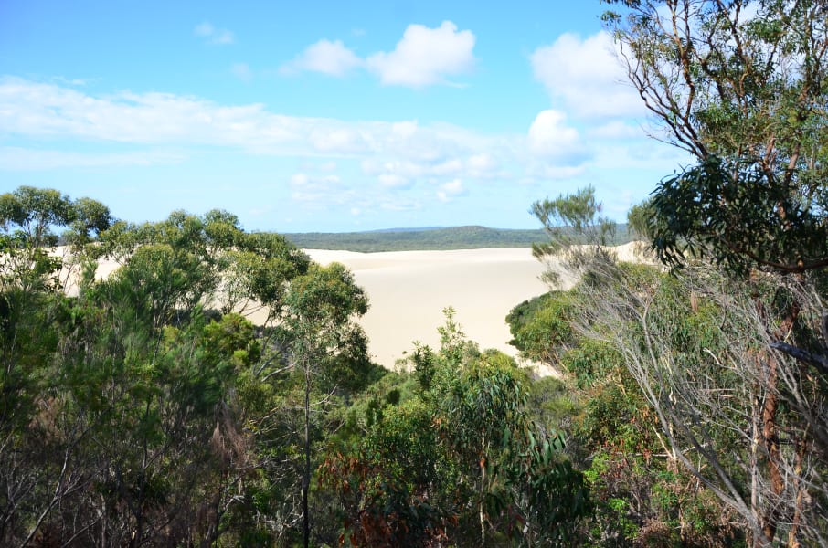 Вся Австралия с островами Фрейзер и Тасмания: 26 тыс км на авто (много фото)