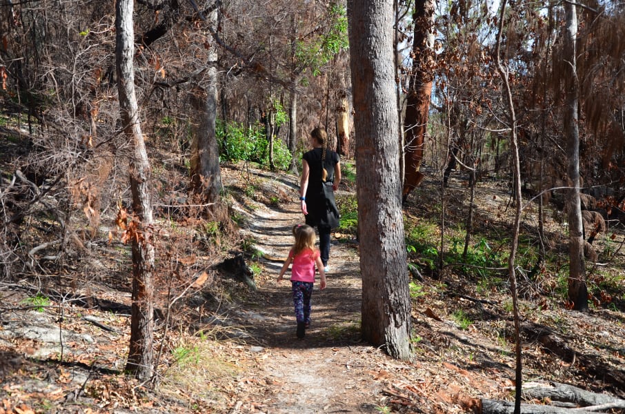 Вся Австралия с островами Фрейзер и Тасмания: 26 тыс км на авто (много фото)