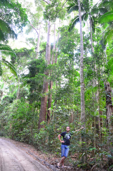 Вся Австралия с островами Фрейзер и Тасмания: 26 тыс км на авто (много фото)