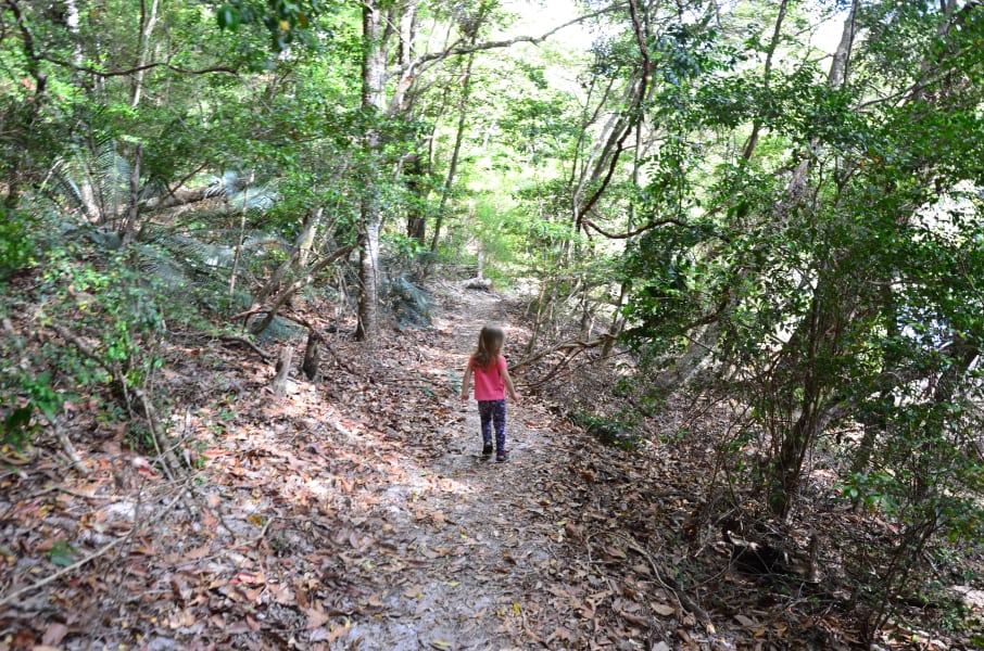 Вся Австралия с островами Фрейзер и Тасмания: 26 тыс км на авто (много фото)