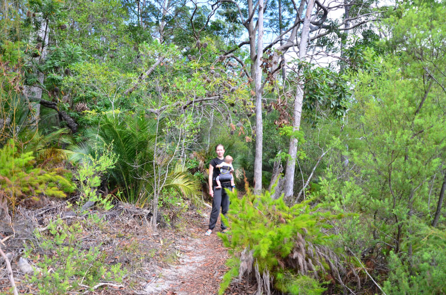 Вся Австралия с островами Фрейзер и Тасмания: 26 тыс км на авто (много фото)