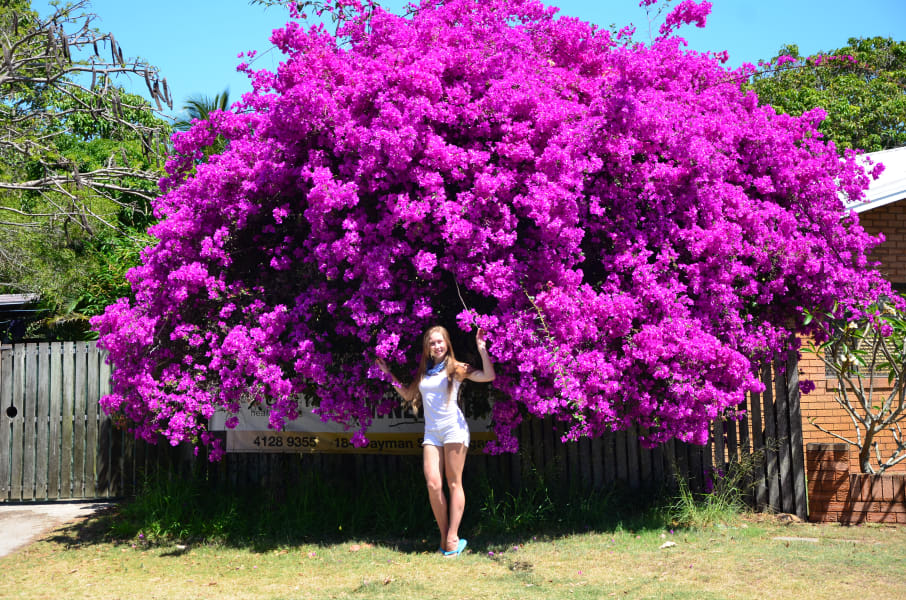 Вся Австралия с островами Фрейзер и Тасмания: 26 тыс км на авто (много фото)