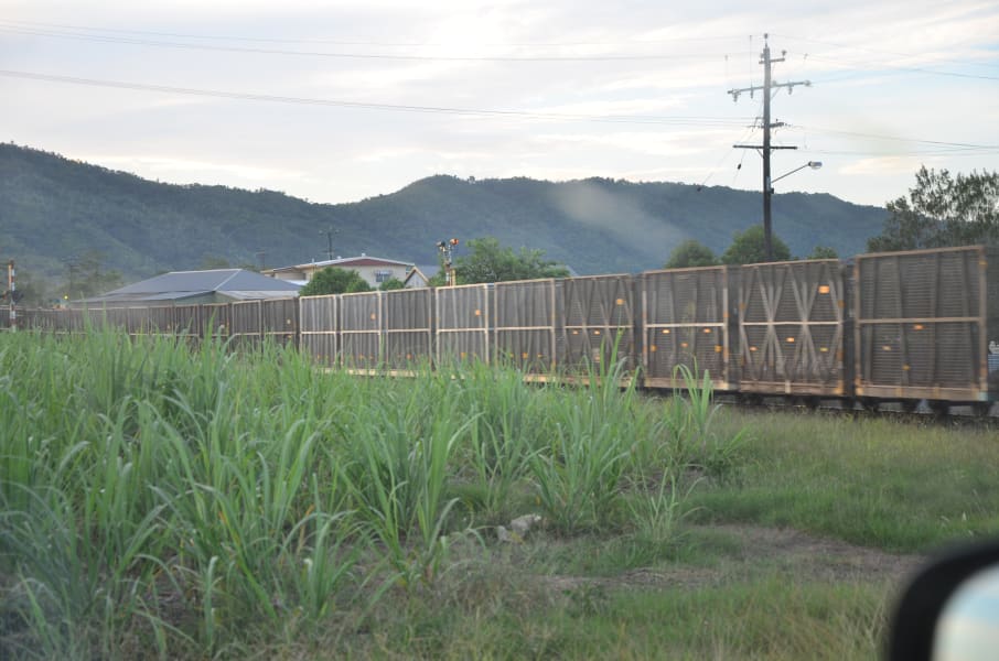 Вся Австралия с островами Фрейзер и Тасмания: 26 тыс км на авто (много фото)