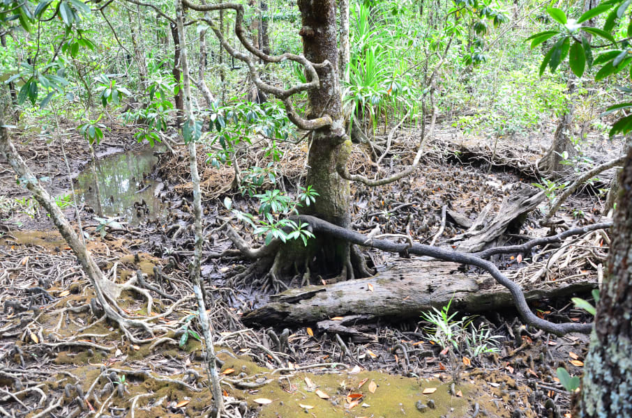 Вся Австралия с островами Фрейзер и Тасмания: 26 тыс км на авто (много фото)
