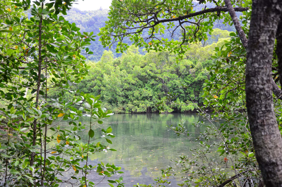 Вся Австралия с островами Фрейзер и Тасмания: 26 тыс км на авто (много фото)
