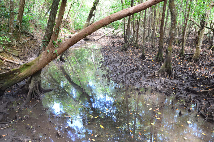 Вся Австралия с островами Фрейзер и Тасмания: 26 тыс км на авто (много фото)