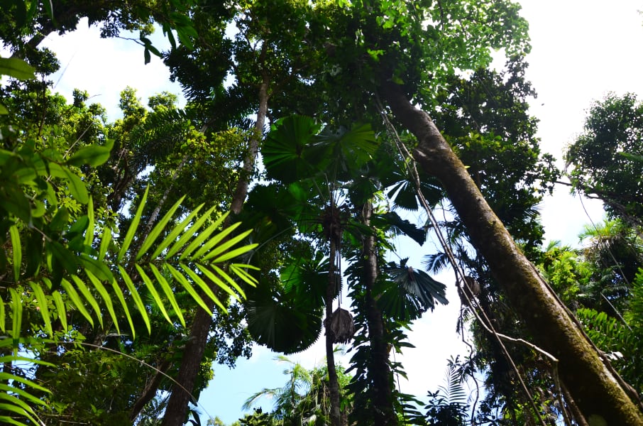 Вся Австралия с островами Фрейзер и Тасмания: 26 тыс км на авто (много фото)